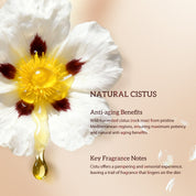 Capsules de sérum au rétinol et bakuchiol HKH : 30 doses uniques de sérum anti-âge anti-rides à base d’HPR et de vitamine C pour les femmes de 25 à 55 ans – Améliore les rides et les taches brunes – Raffermit, lisse et hydrate – Format voyage